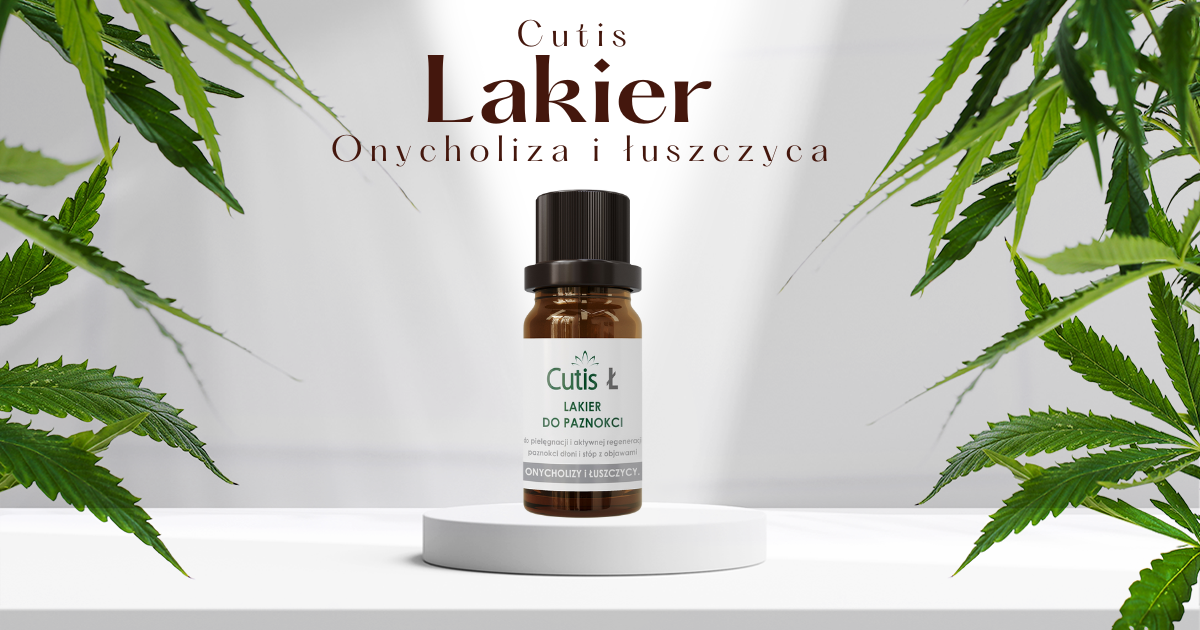 Poznajmy się - Cutis Lakier